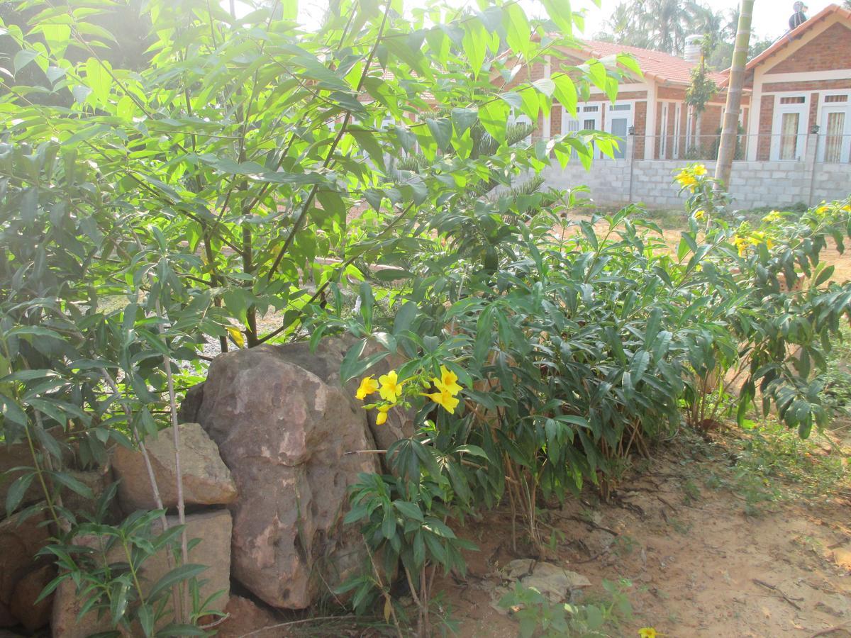 Bamboo Garden Resort Phú Quý Zewnętrze zdjęcie